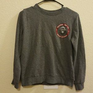 Smokey the bear pullover